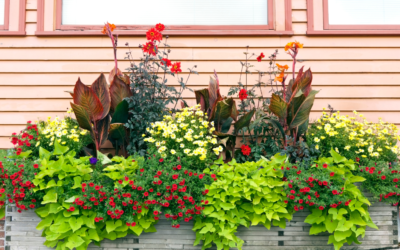 Exterior Planters